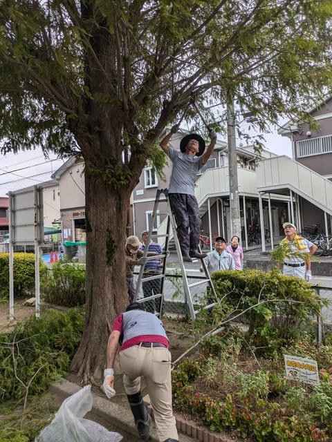 事前に木の剪定も行いました。