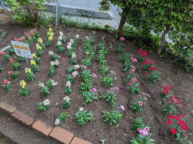 植替えが終わりきれいな花壇になりました。