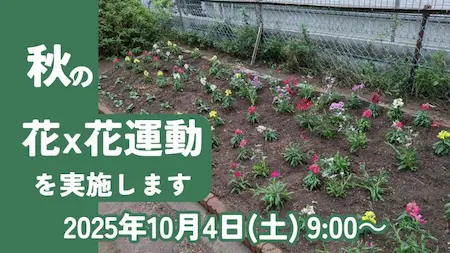 2025年秋花花運動
