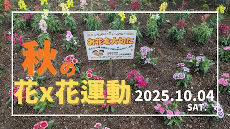 2025年秋の花x花運動